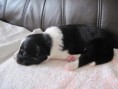 /album/argo/img-5625-jpg/